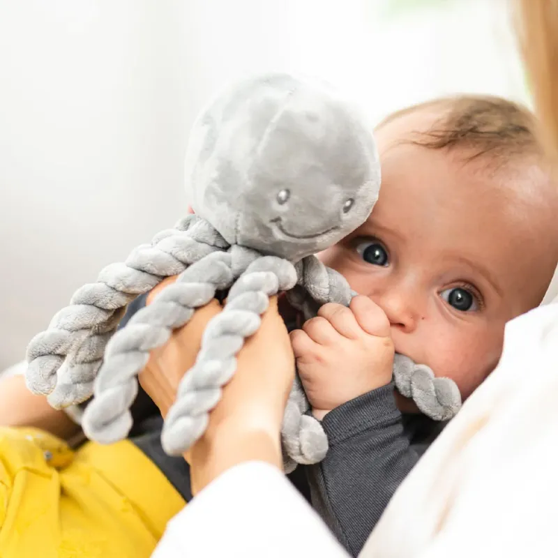 Игрушка мягкая Nattou Musical Soft toy Lapidou Octopus музыкальная