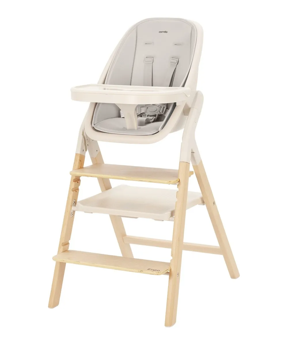 Стульчик для кормления CARRELLO Ergo CRL-16701