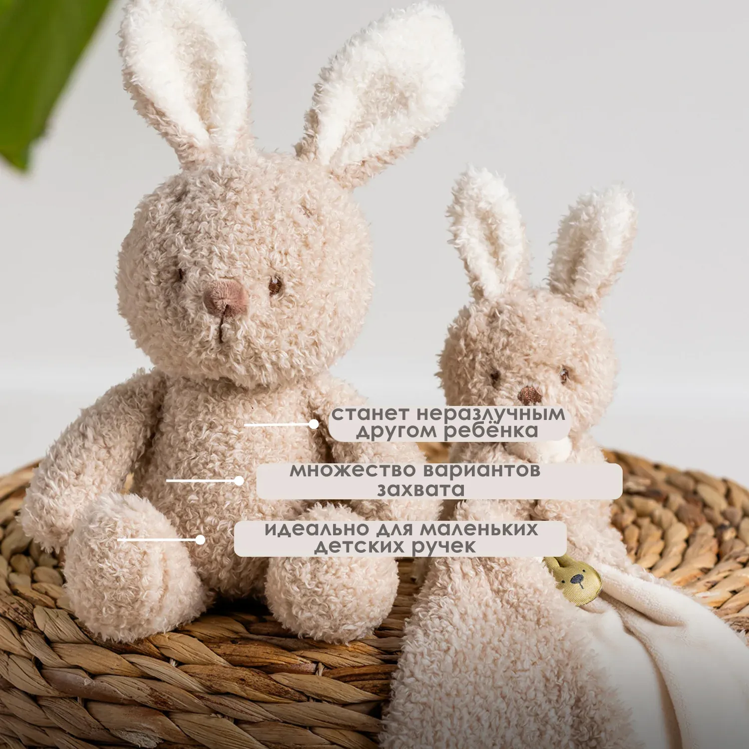Игрушка мягкая Nattou Soft toy TEDDY Кролик 856331