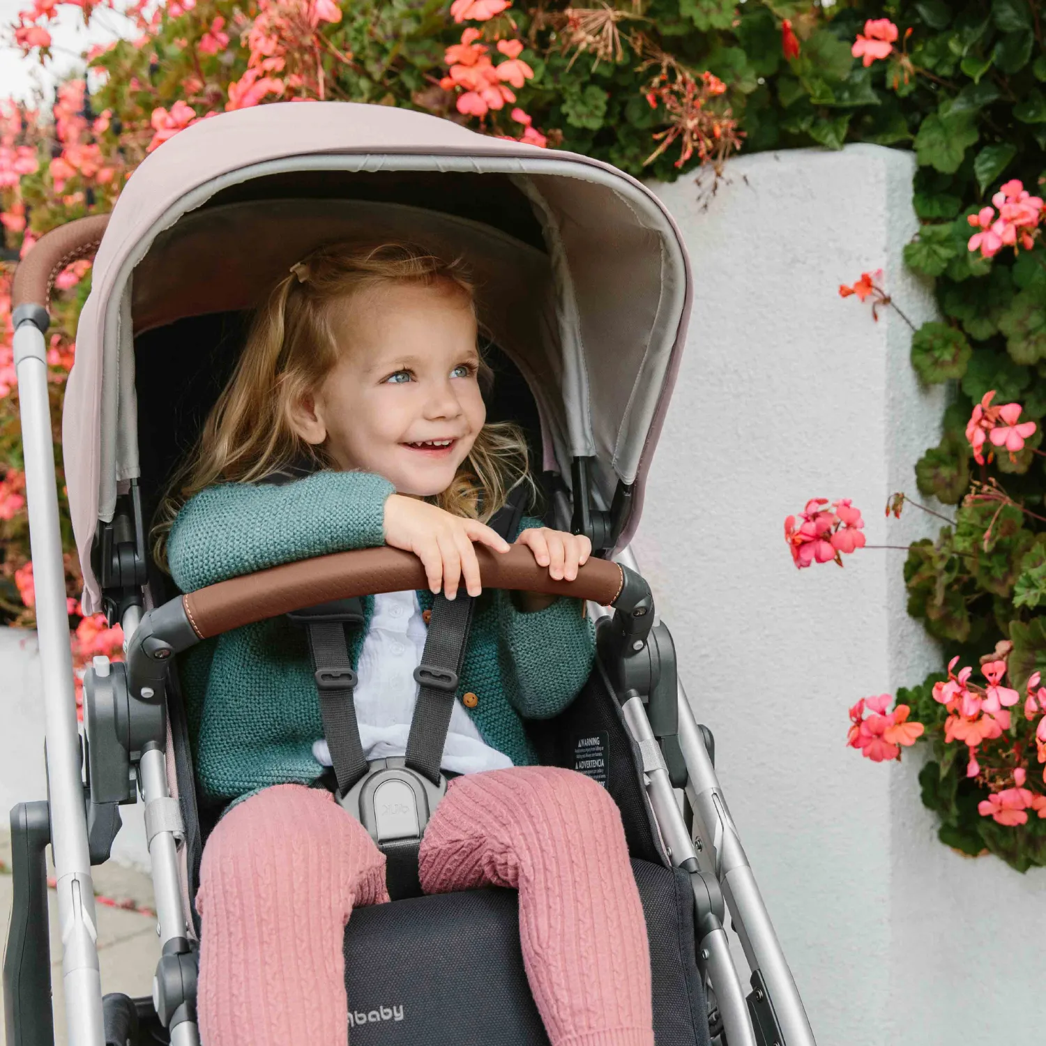 Коляска прогулочная UPPAbaby Cruz V2