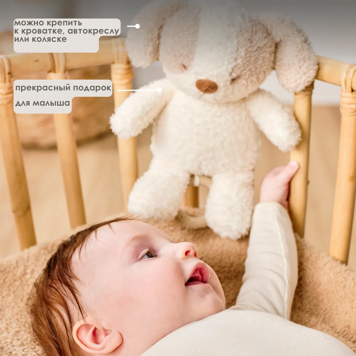 Игрушка мягкая Nattou Musical Soft toy TEDDY Собачка музыкальная 856362
