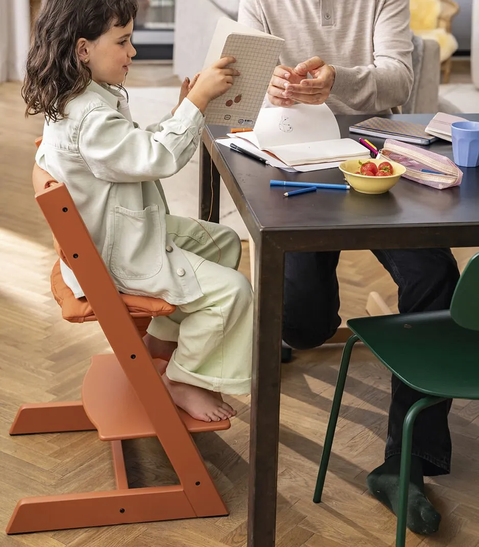 Стульчик для кормления Stokke Tripp Trapp