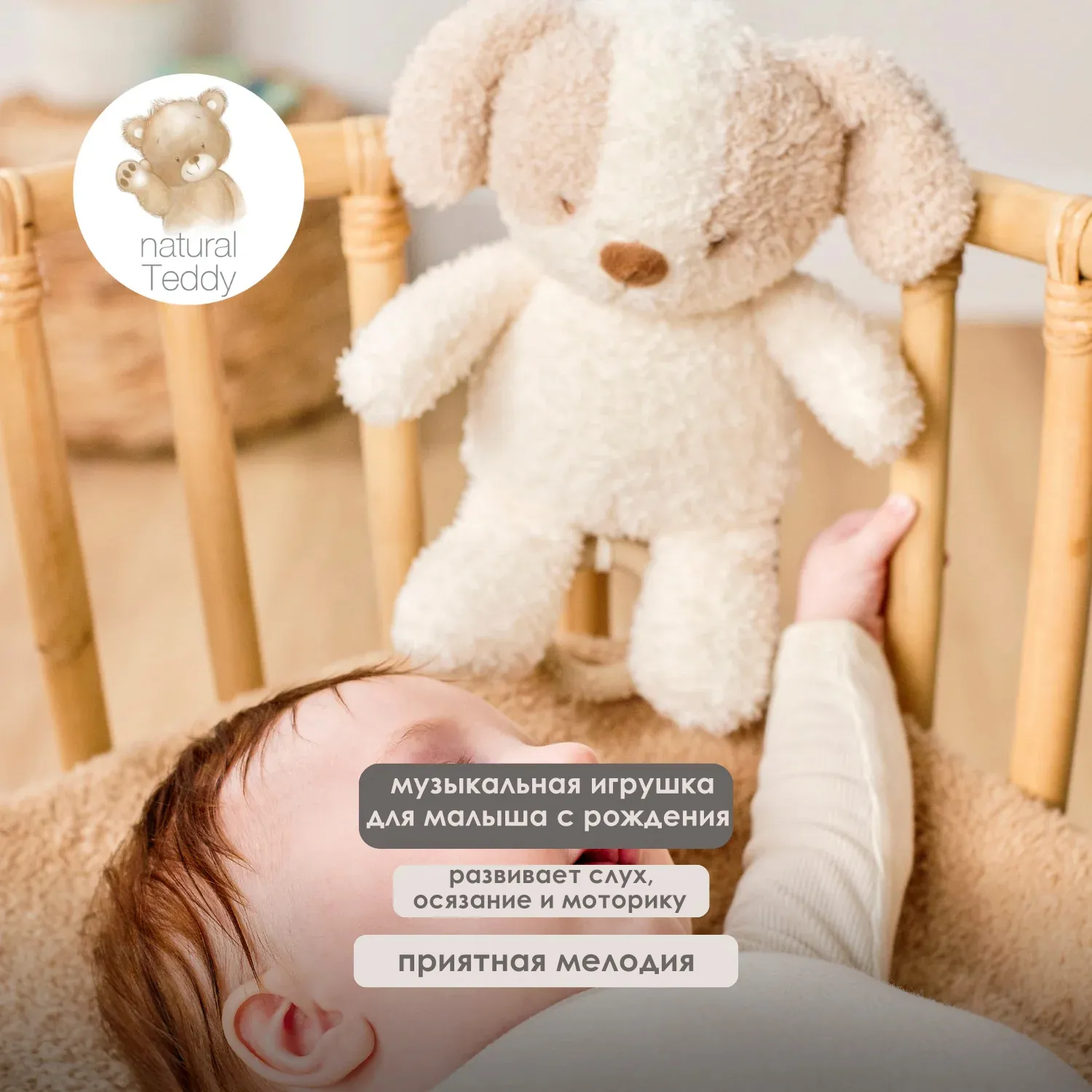 Игрушка мягкая Nattou Musical Soft toy TEDDY Собачка музыкальная 856362