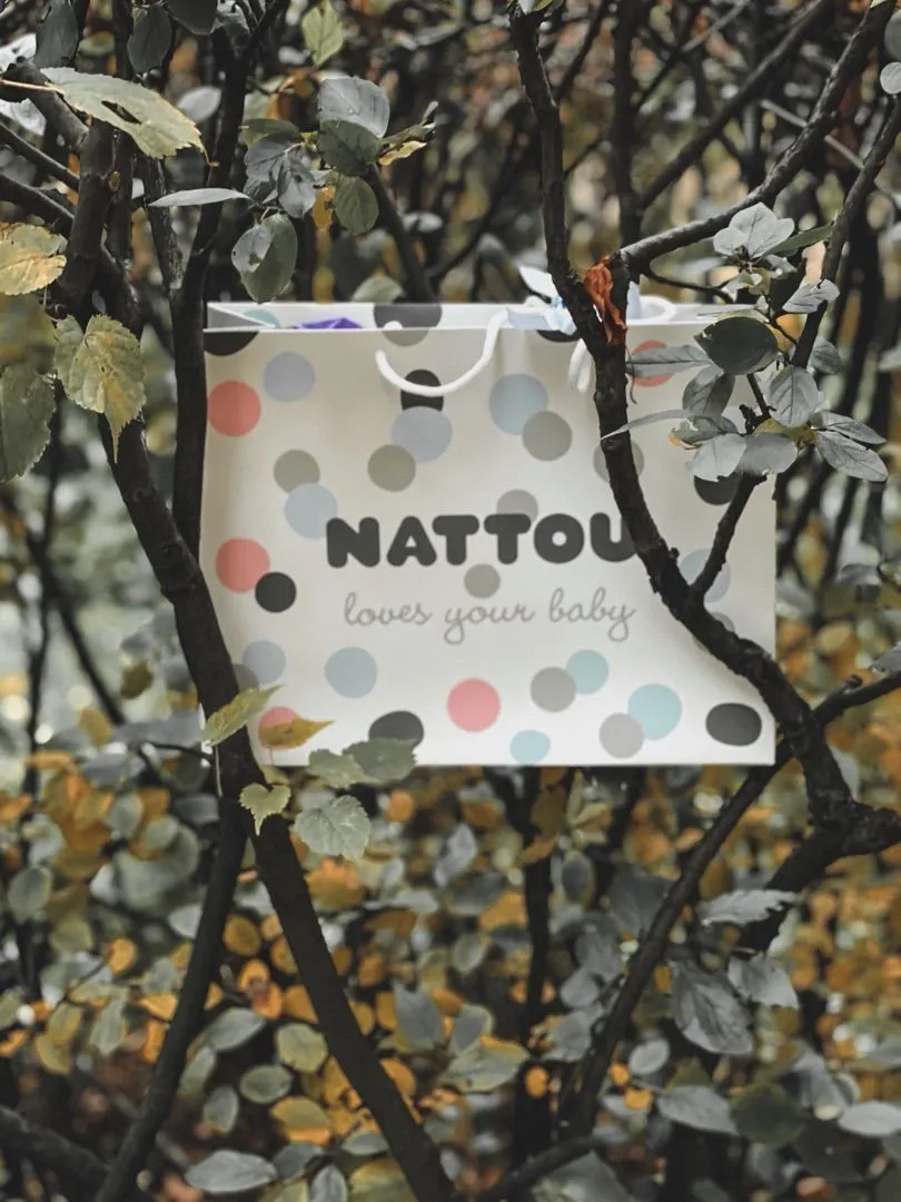 Подарочный пакет Nattou