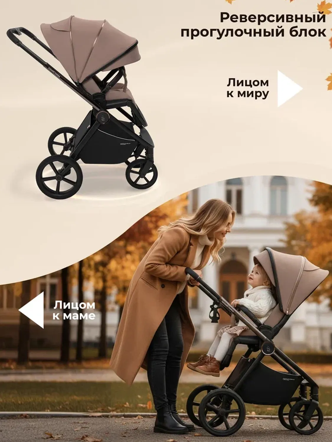 Коляска 2 в 1 SBL /Sweet Baby Elegante Therma