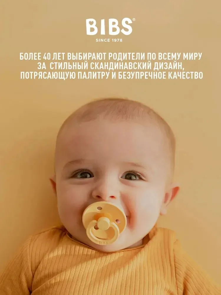 Пустышка латексная BIBS De Lux 6+