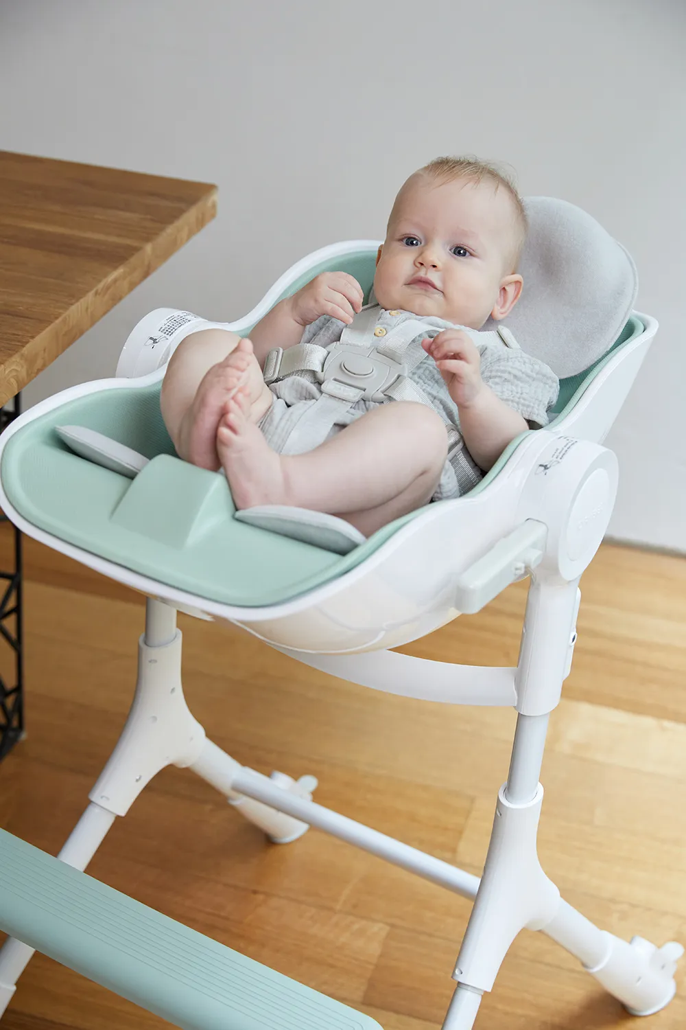 Вкладыш Cocoon Z Oribel для стульчика 2в1