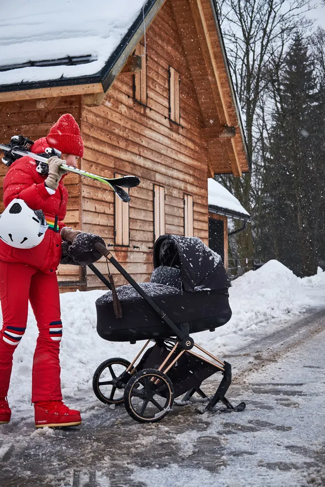 Сетка противомоскитная для спального блока коляски Cybex Priam