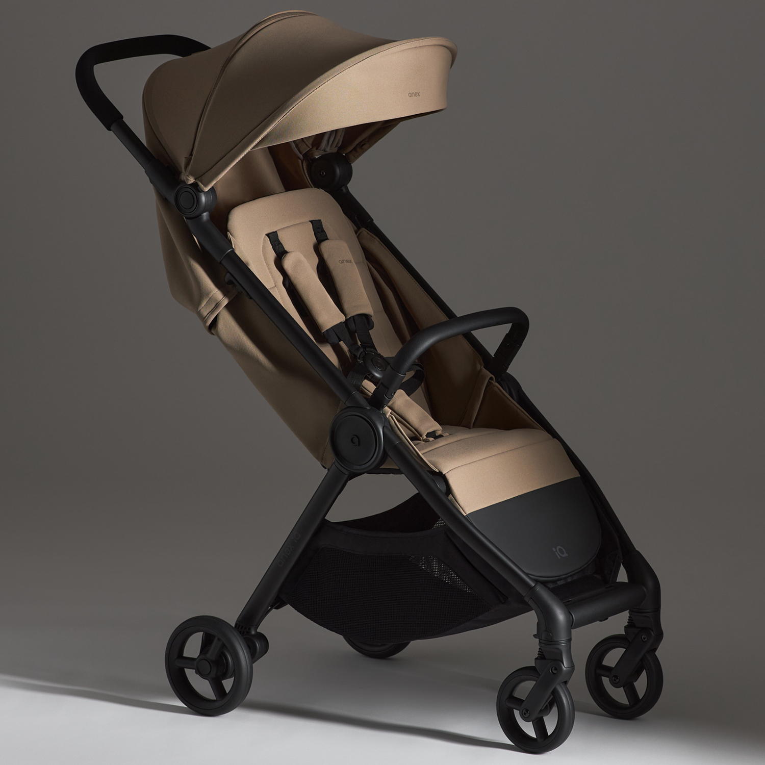 Коляска 2 в 1 ANEX iQ Basic