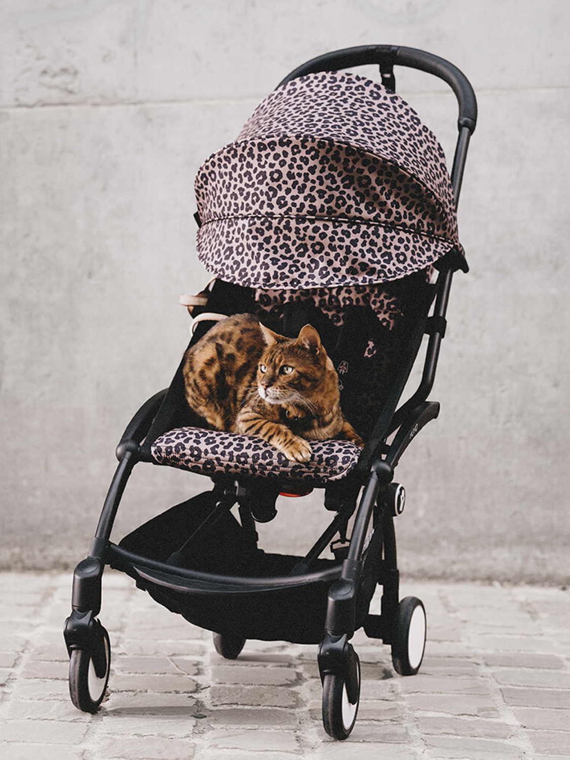 Капюшон и сиденье Stokke YOYO 6+, сменный набор