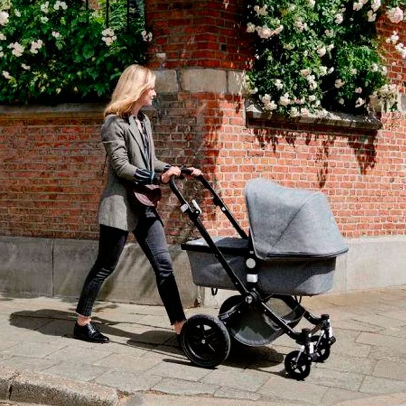 Выбираем коляску Bugaboo: Cameleon, Fox или Lynx?