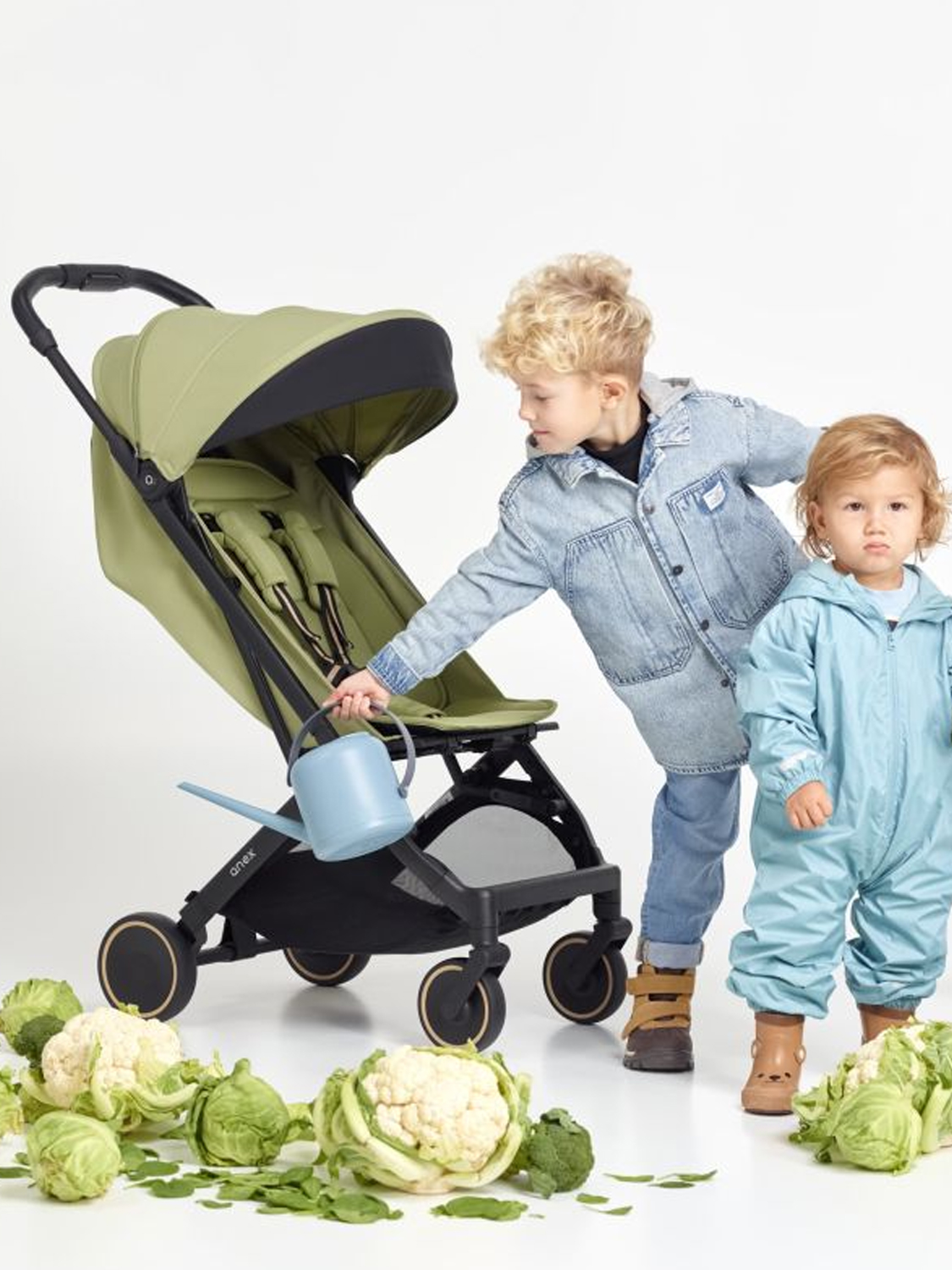 Коляска прогулочная Anex AIR-X2