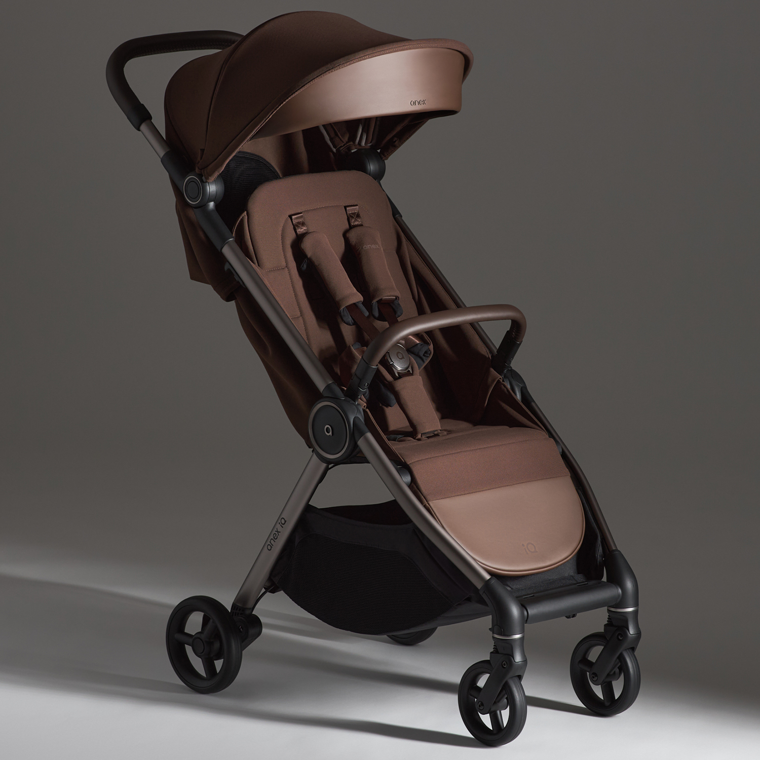 Коляска 2 в 1 Anex iQ Premium